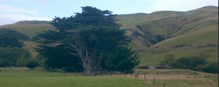 Cheviot, North Canterbury, New Zealand